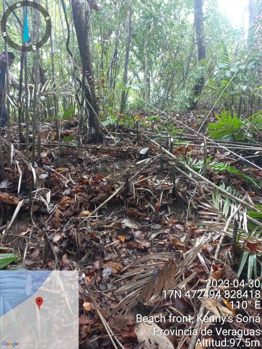 Propiedad en venta de casi 7 hectáreas (casi 17.29 acres), isla de cebaco, frente al mar. veraguas.