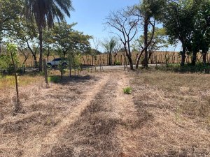 138981 - Veraguas - lots