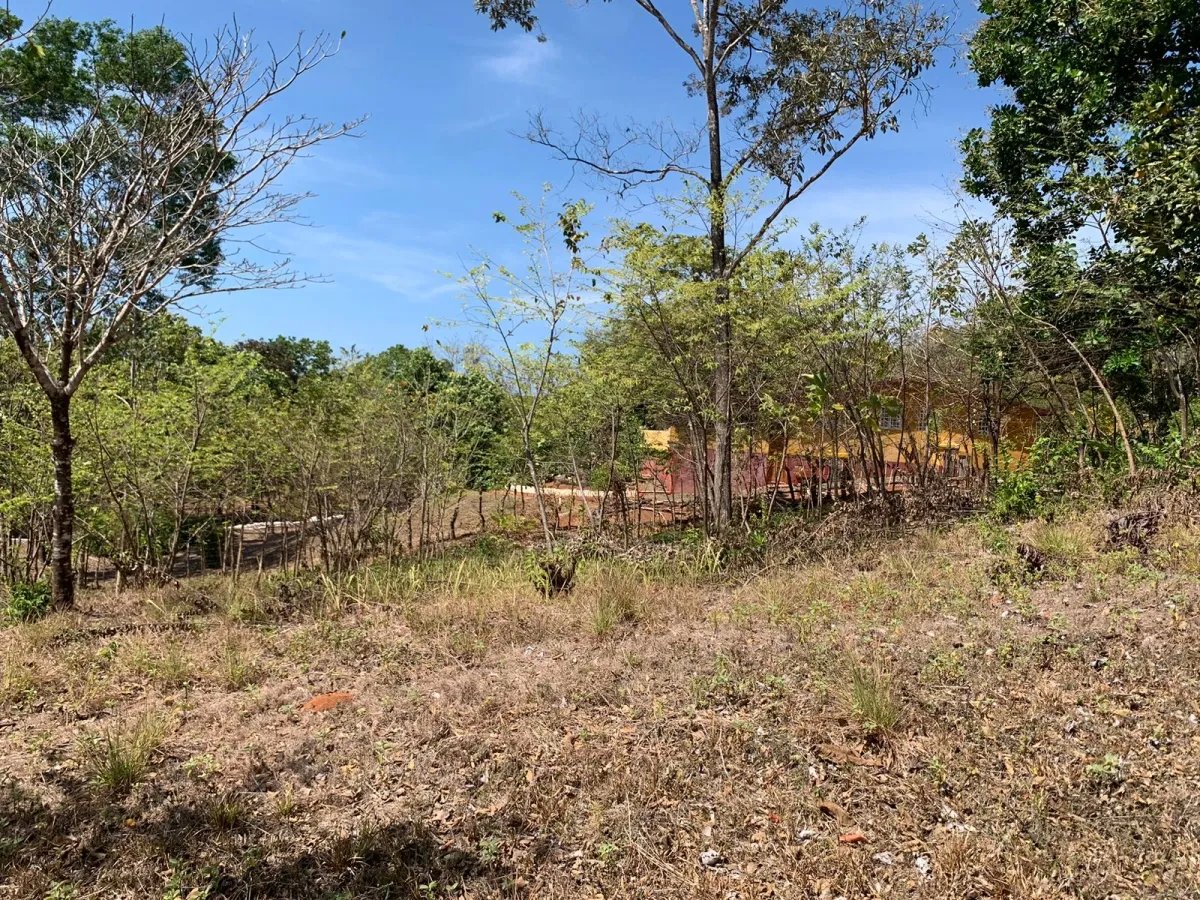 Lote de 1600 metros cuadrados, cerca de la calle principal, farfan-largatero, camino a santa catalina.