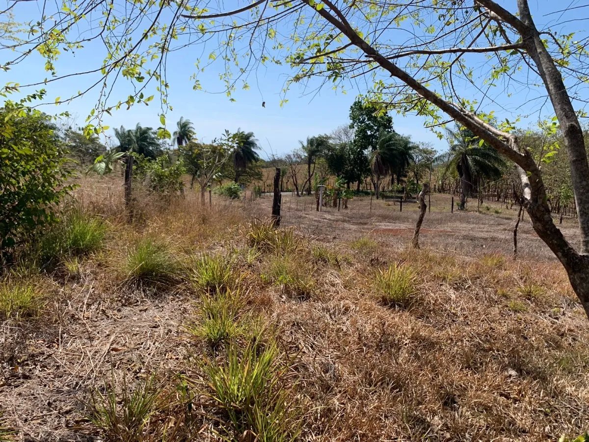 Lote de 1600 metros cuadrados, cerca de la calle principal, farfan-largatero, camino a santa catalina.