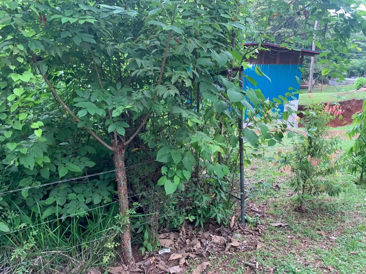 Se vende propiedad de casi 1,000 metros de terreno, en  el centro de s...