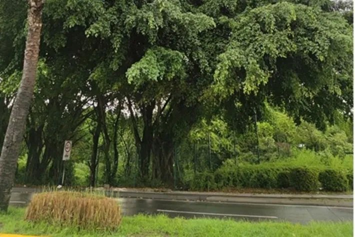 Se vende terreno en santa maría business district, panamá