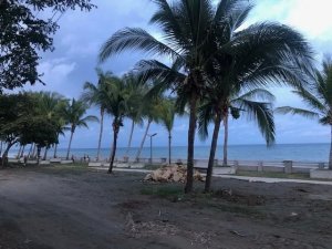 139149 - Puerto armuelles - lots