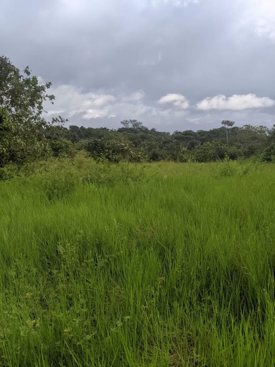 Gran terreno en el pueblo de playa las lajas