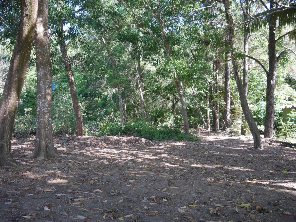 Dos lotes de playa en playa nanzal, san lorenzo, chiriqui