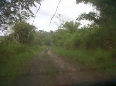 1395 - La Chorrera - farms