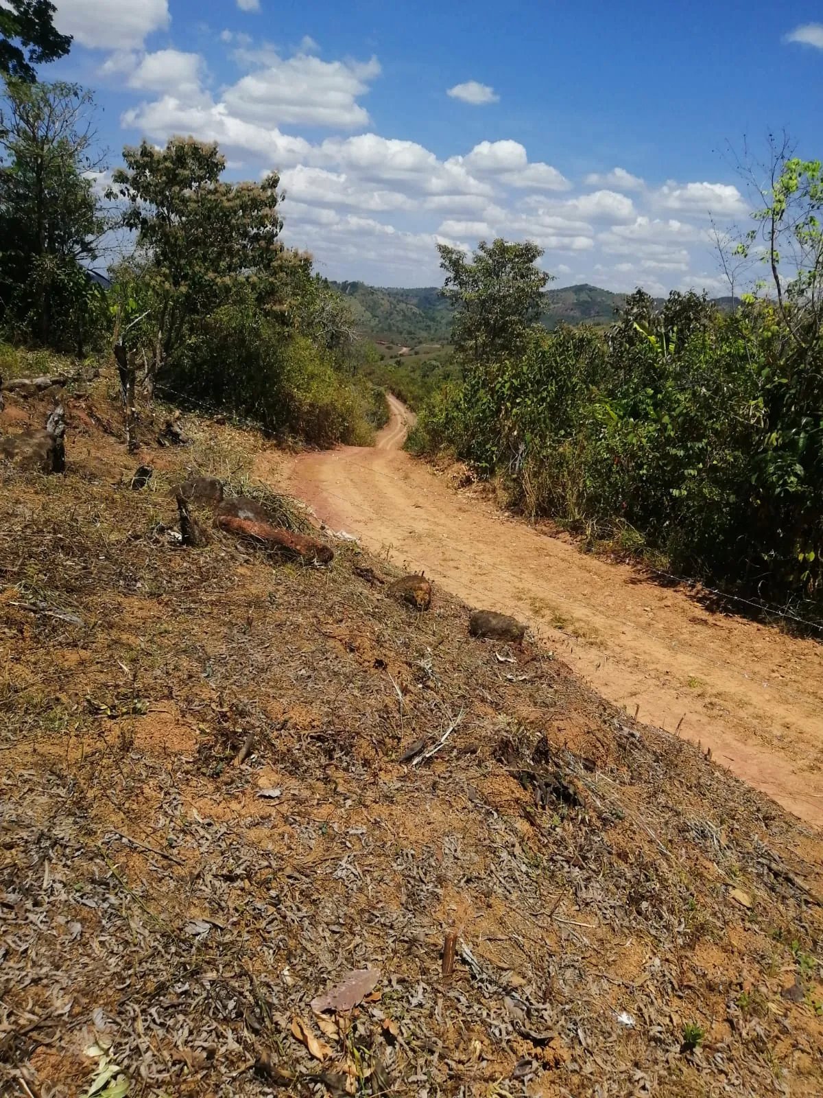 Venta de finca ganadera en veraguas, sector la pifa