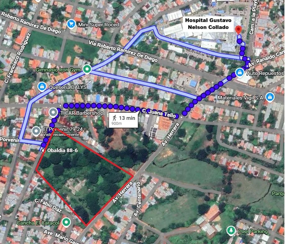 Se vende 4.2 hectáreas en el centro de chitré