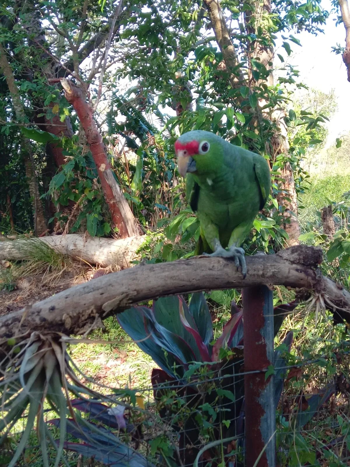 Tranquila y acogedora casa de campo a la venta - negociable/ cozy & qu...