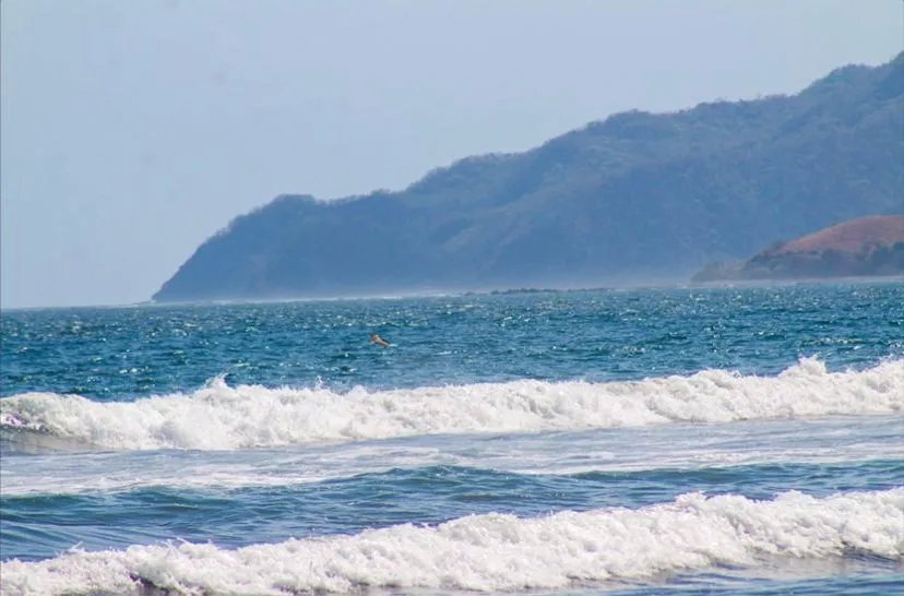 Playa ostional  81 hectáreas con 974m de frente de playa | pedasí, panamá