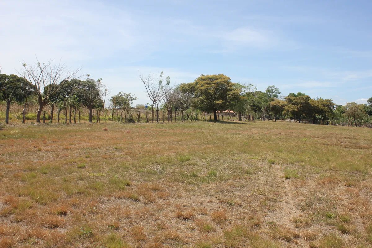 Antón, terreno en venta