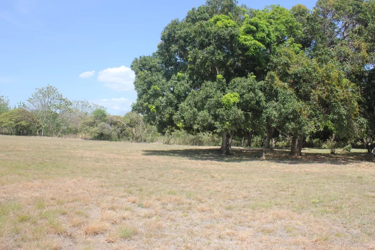 Antón, terreno en venta