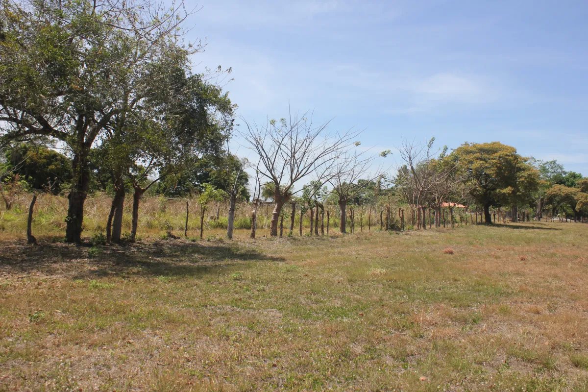 Antón, terreno en venta