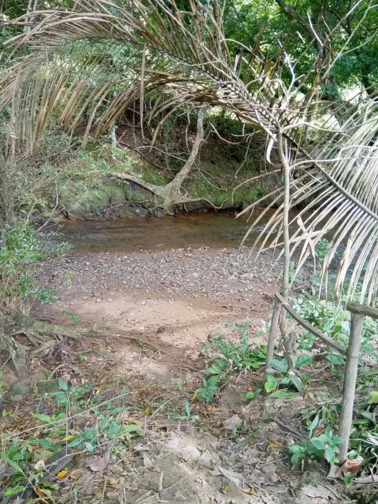 Venta de finca en tolú, los santos
