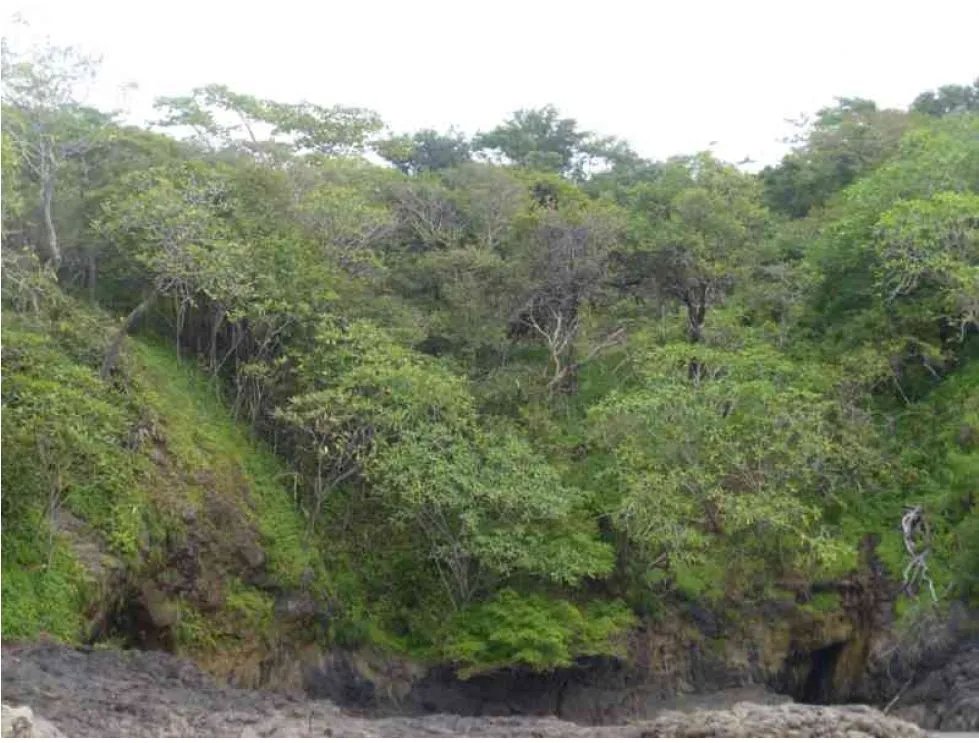 Venta de lote con vista al mar  playa madroño, los santos