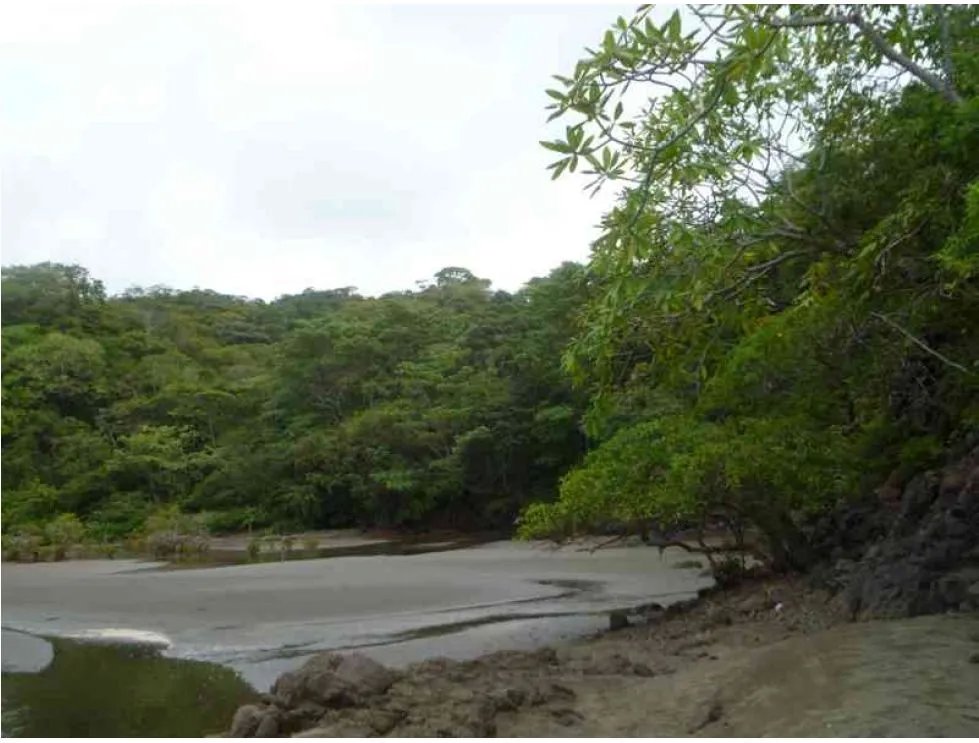 Venta de lote con vista al mar  playa madroño, los santos