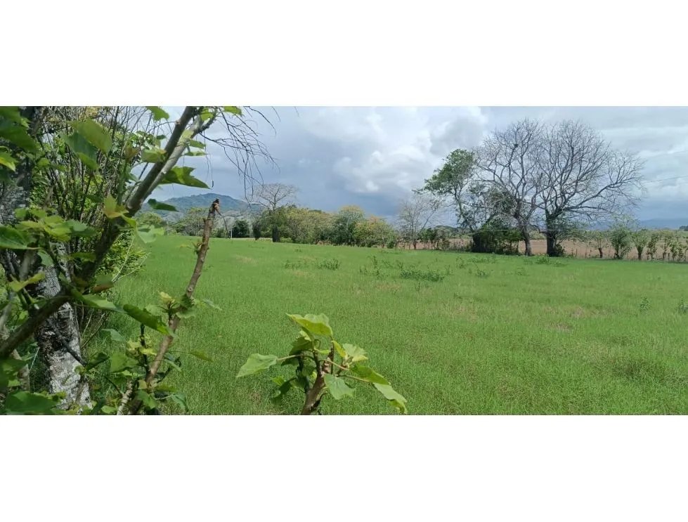 Venta de lote titulado de 1,005 m² en tonosí