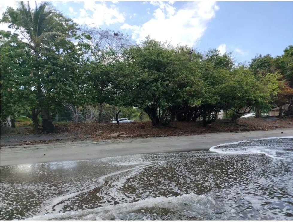 Venta de lote titulado frente al mar en playa bucaro