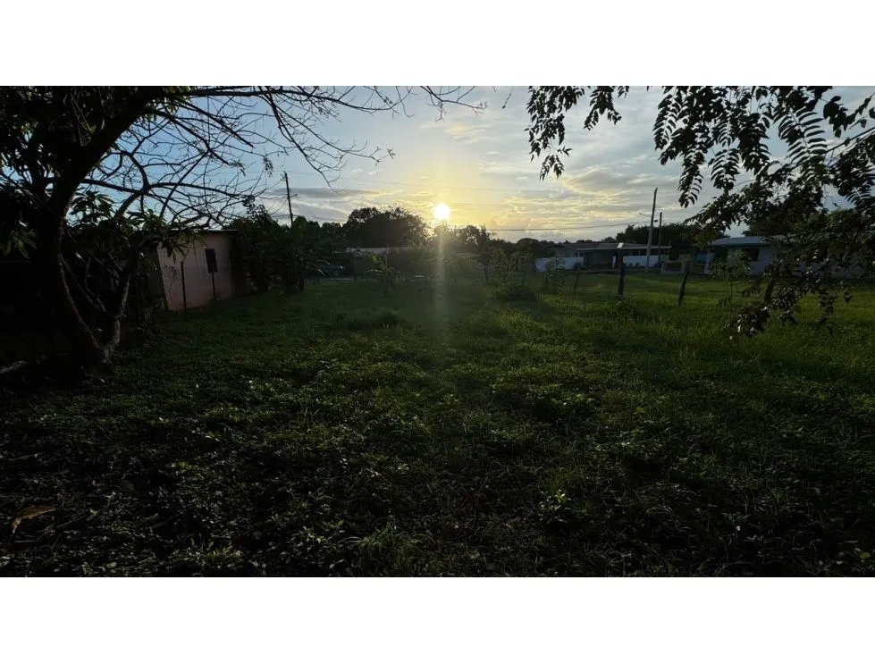 Venta de terreno en la primavera, las tablas.