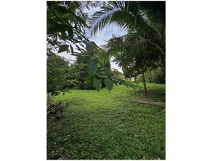 139770 - Herrera - lots