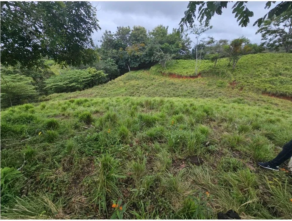 Venta de terreno en pedasí, a minutos de playa venao