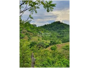 139853 - Las Tablas - lots - cerro canajagua