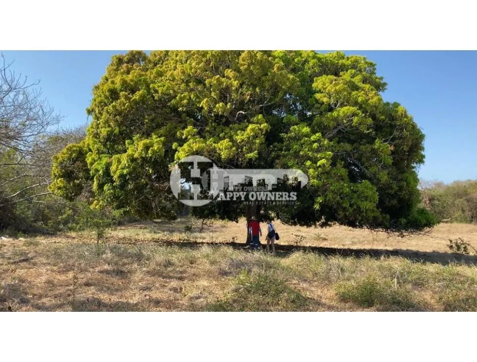 Se vende finca de 12 hectáreas, pocrí