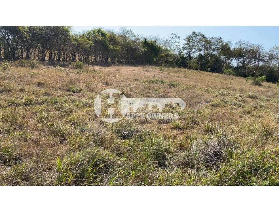Se vende finca de 12 hectáreas, pocrí
