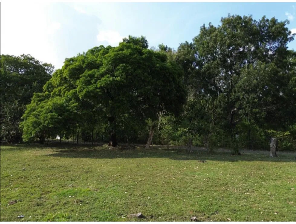 Venta de terreno campestre en el espavé, chame