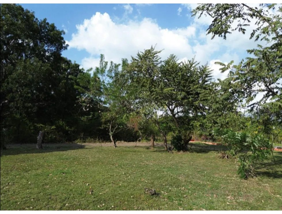 Venta de terreno campestre en el espavé, chame