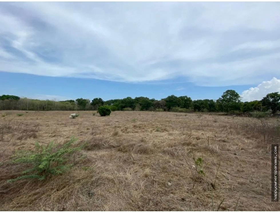 Venta de terreno comercial en las tablas.