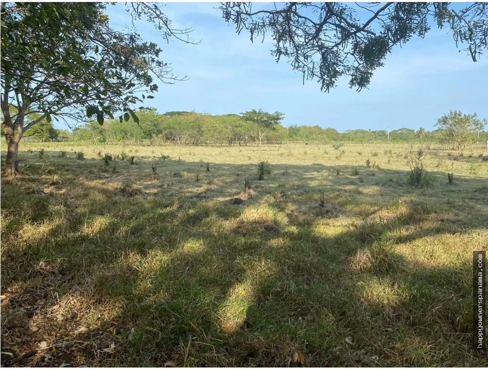 Venta de terreno frente a vía principal, guararé, los santos.
