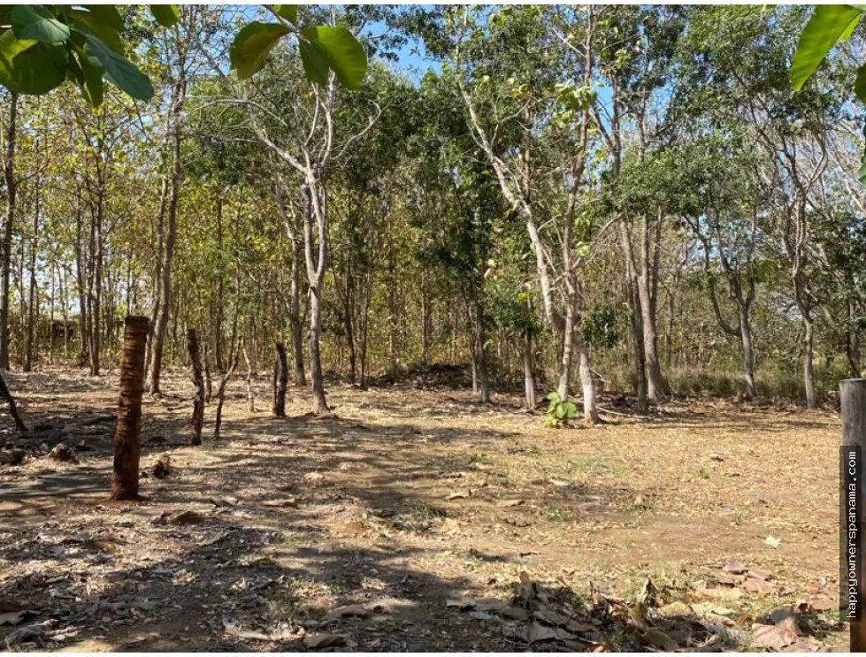 Venta de finca de 1.4 hectáreas en las tablas