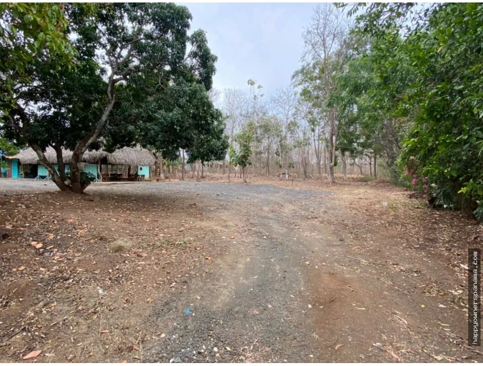 Venta de finca de 1.4 hectáreas en las tablas