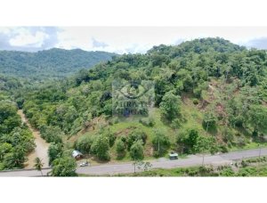 139882 - Bocas del Toro - lots