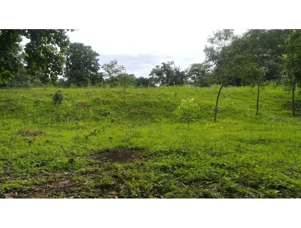 Venta de finca en tolú, los santos