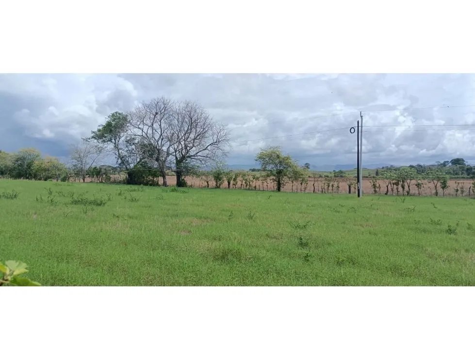 Terreno en venta en tonosí  vía bucaro