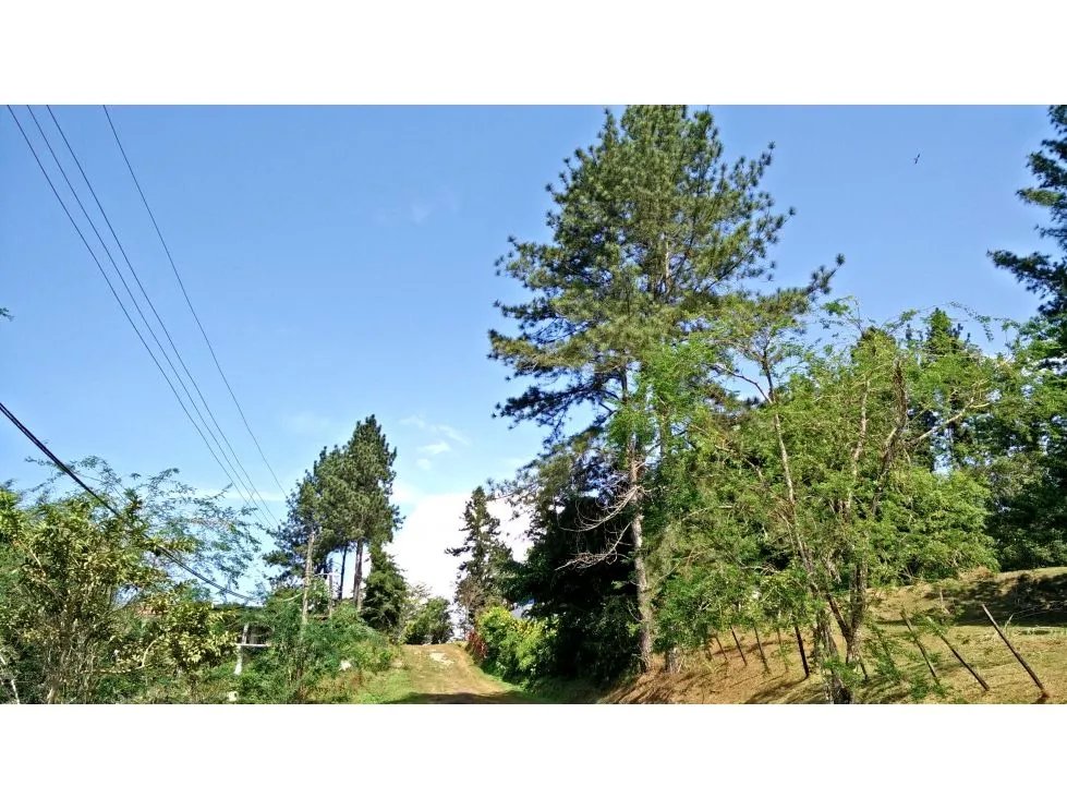 Venta de terreno en cerro azul