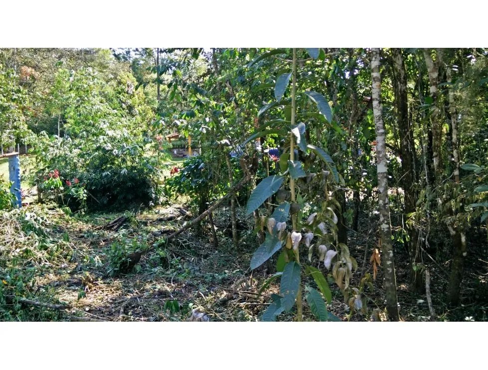 Venta de terreno en cerro azul