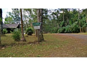 139900 - Pacora - lots - parque industrial canaima