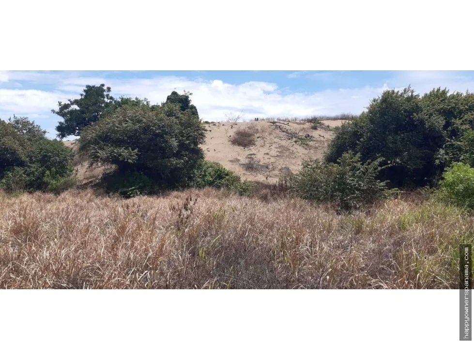 Venta de terreno frente al mar en pocrí, cerca de pedasí.