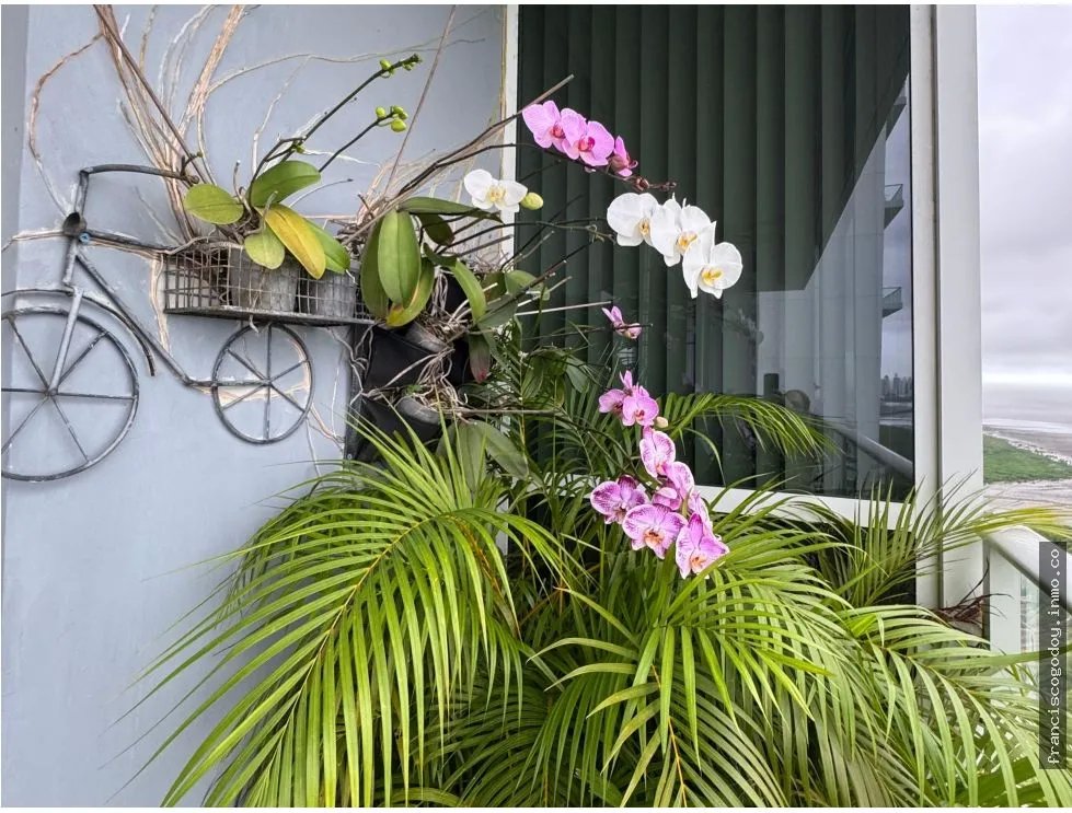 Apartamento en venta costa del este
