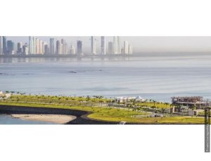 140575 - Punta pacifica - lots - ph aqualina