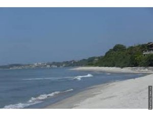 141178 - San carlos - lots - casamar