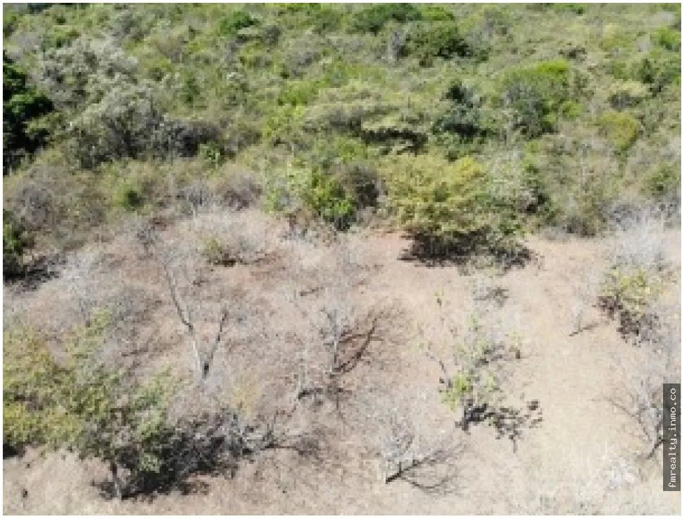 Terreno en venta vía al valle de antón, san carlos