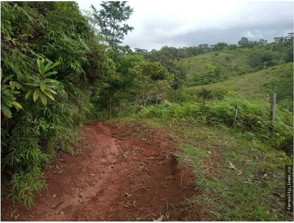 Se vende finca en ciri de los sotos capira panama
