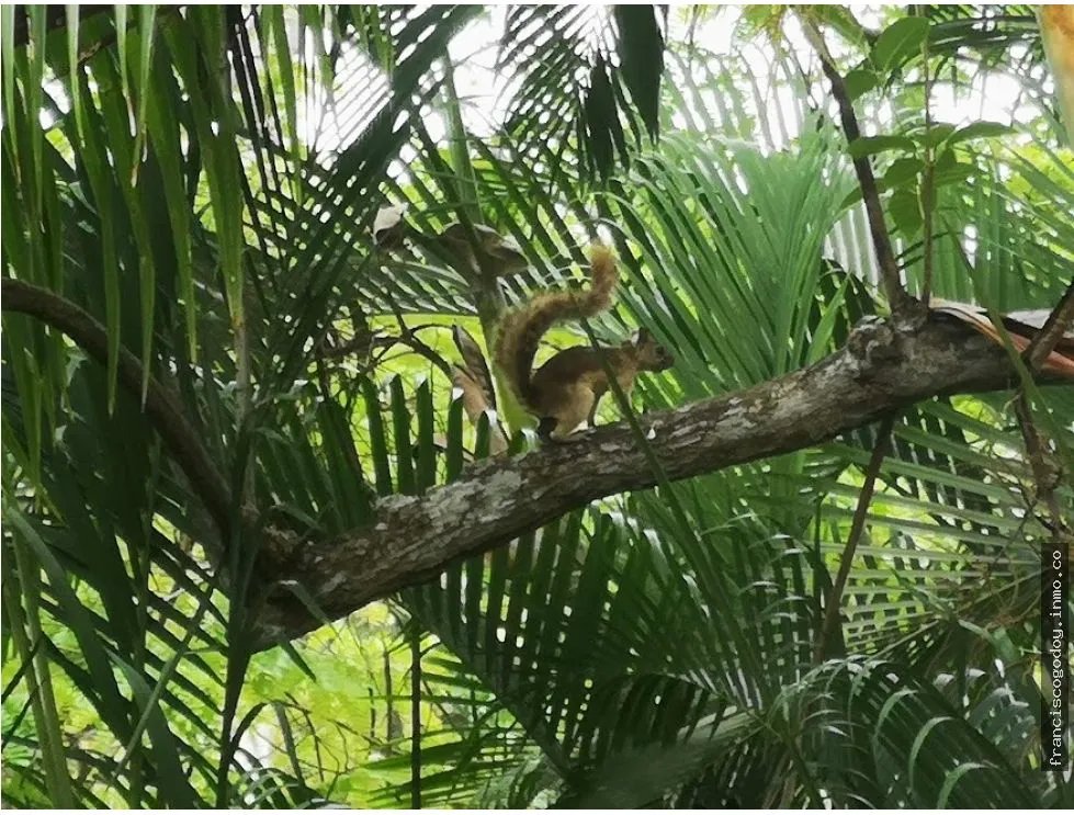 Alquiler de casa en ancon balboa