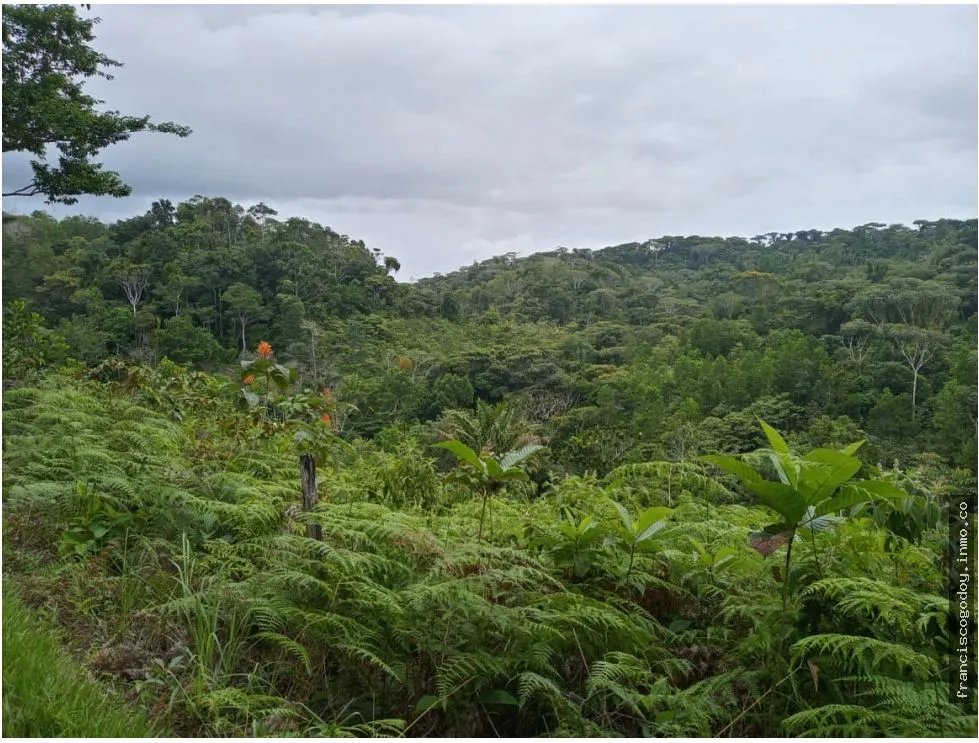 Se vende finca en ciri de los sotos capira panama