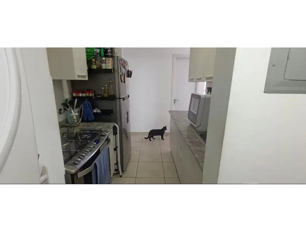 Alquiler de apartamento amoblado en ph athas, 12 de octubre