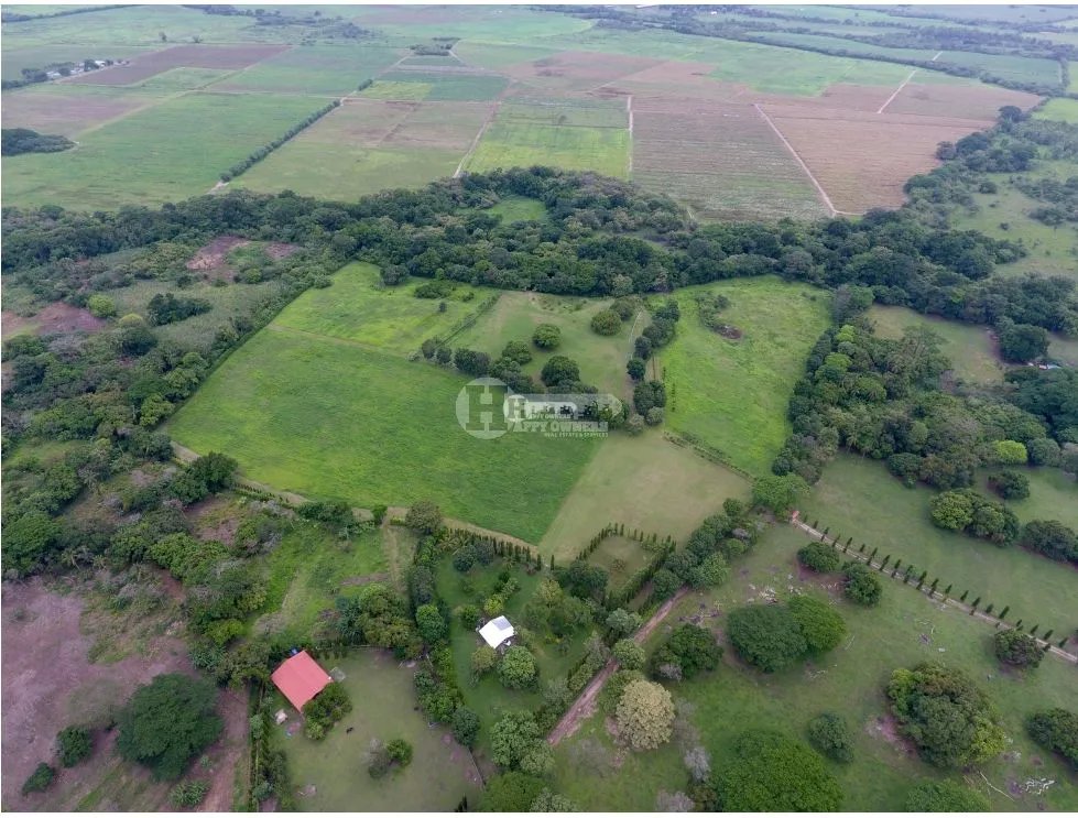 Se vende finca de 5 hectareas en río hato, coclé